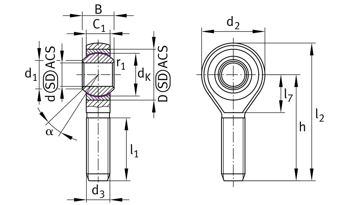 Шарнирная головка INA GAKSR8-PS