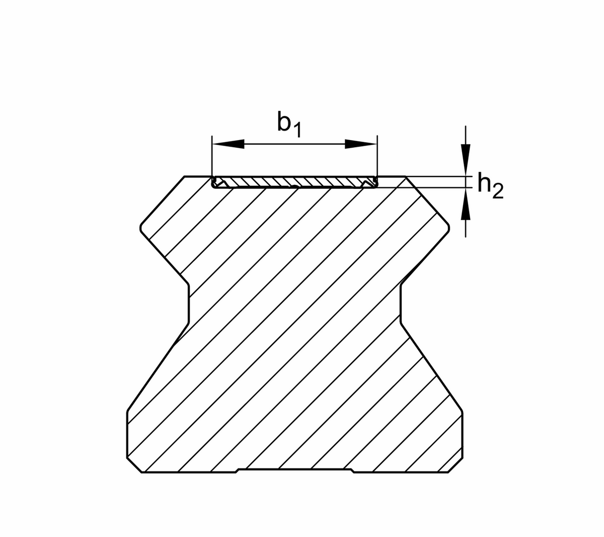 Профильный рельс INA TSX65-E-ADE
