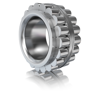 Цилиндрический роликоподшипник INA RSL20x32,17x23-XL-RV-DP