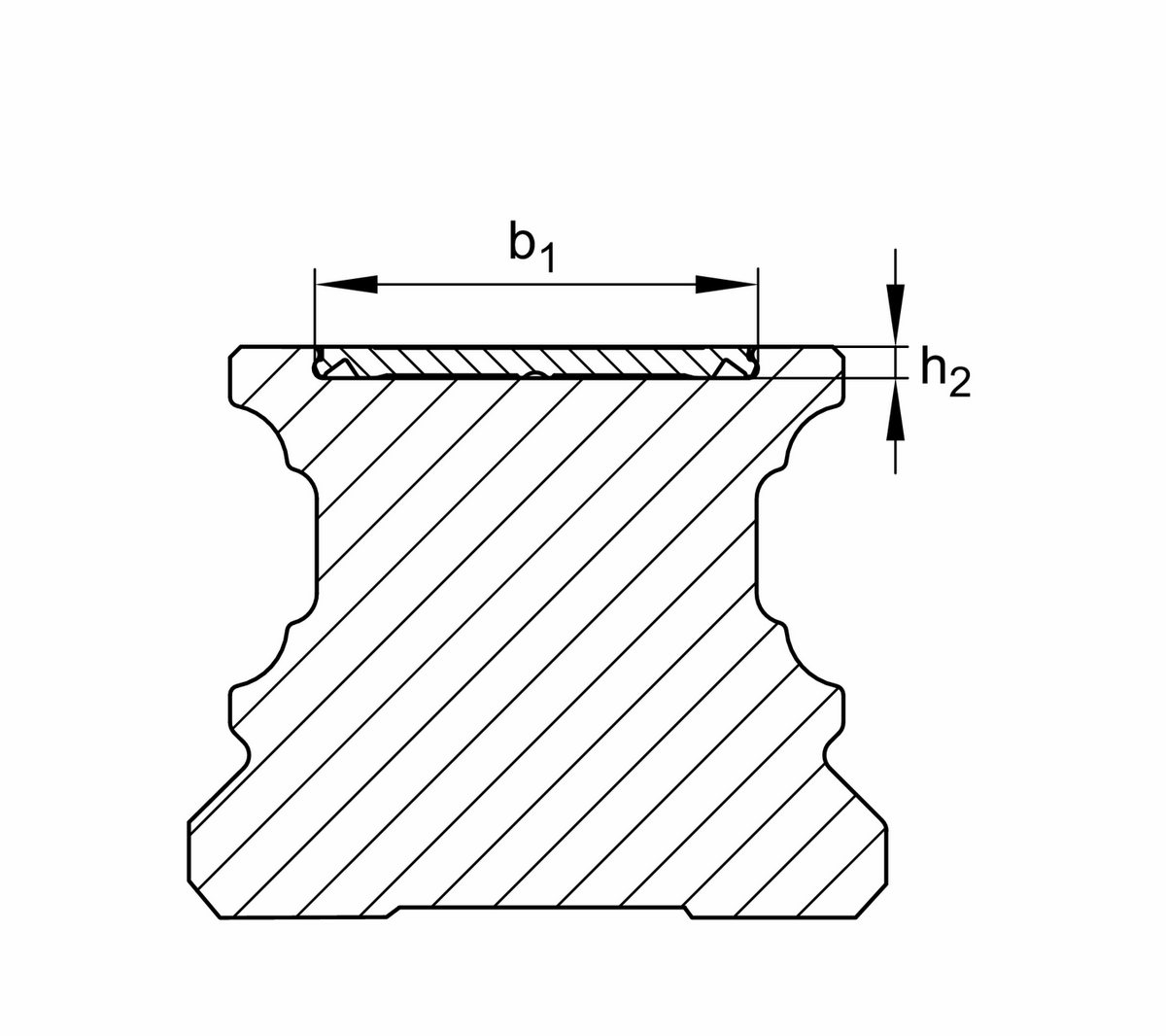 Профильный рельс INA TKVD55-B-ADE