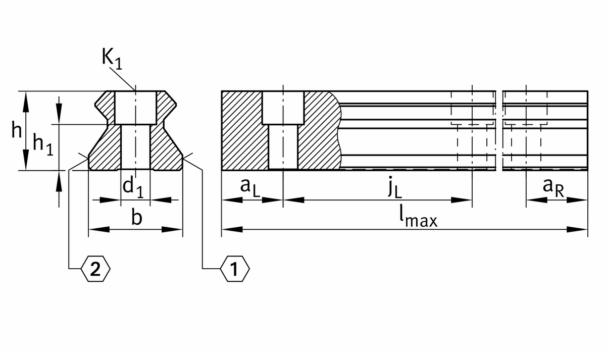 Профильный рельс INA TSX55-E