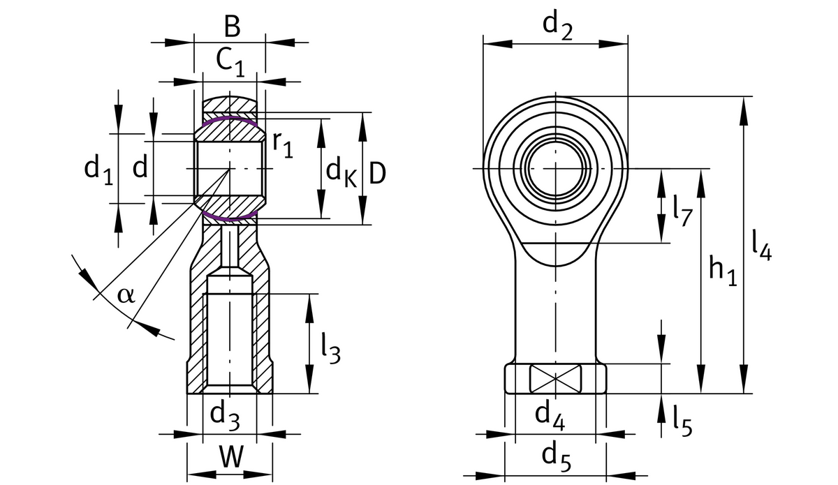 Шарнирная головка INA GIKSL25-PS