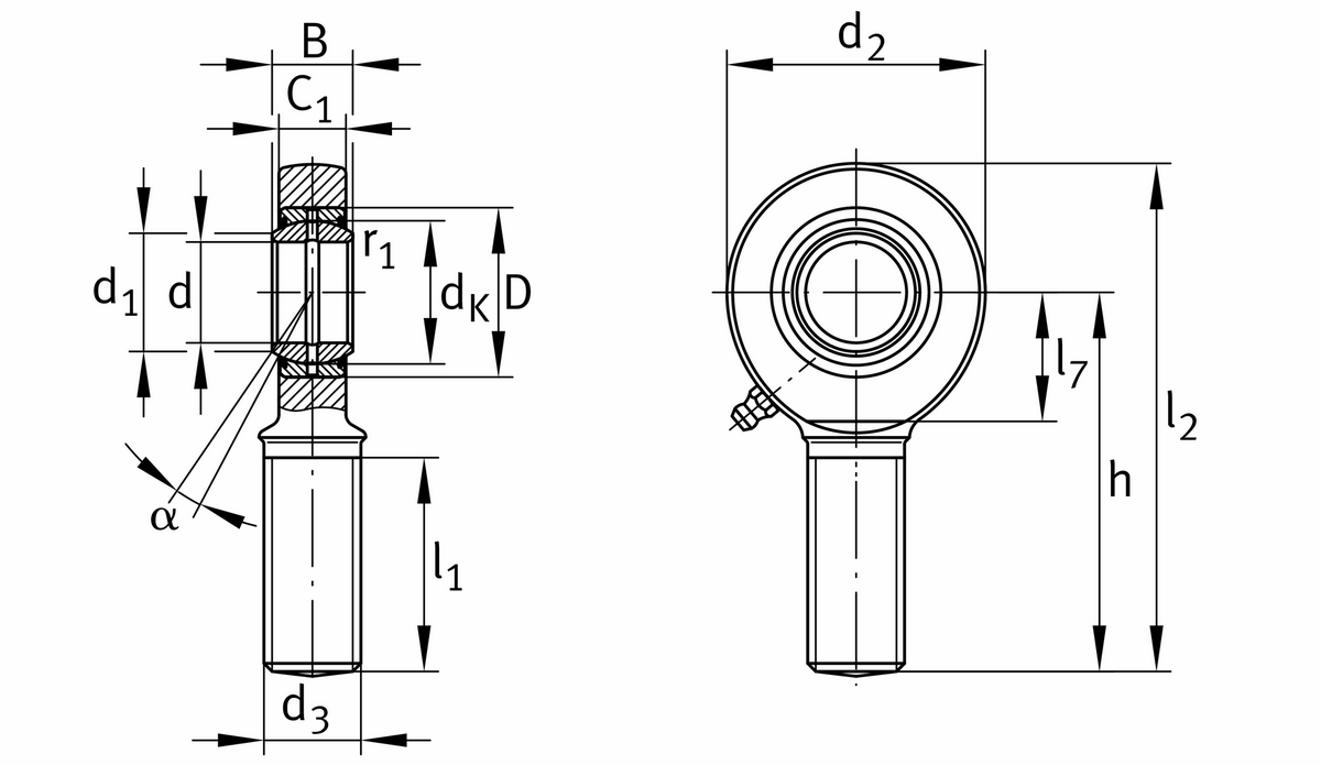 Шарнирная головка INA GAR6-DO