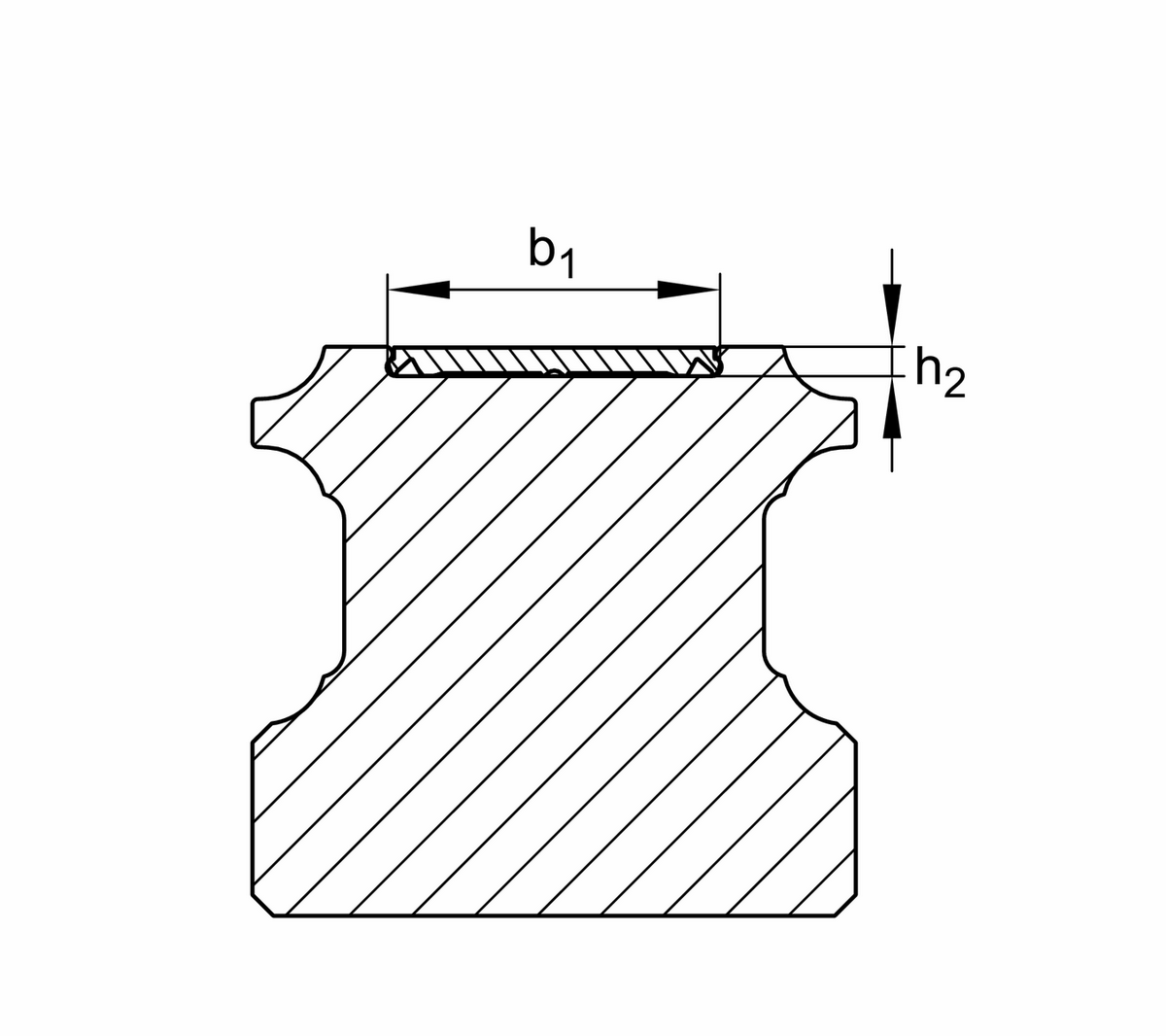 Профильный рельс INA TKSD25-ADE